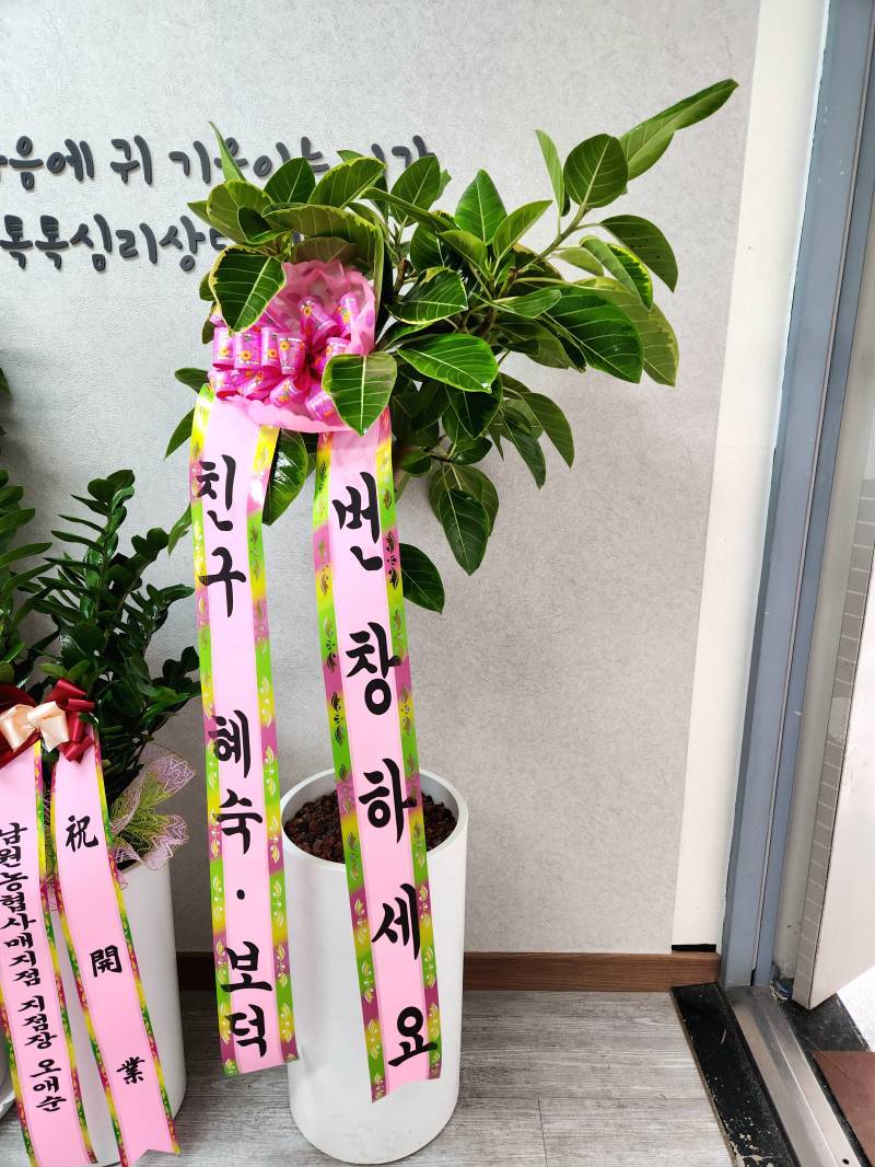 업로드 이미지