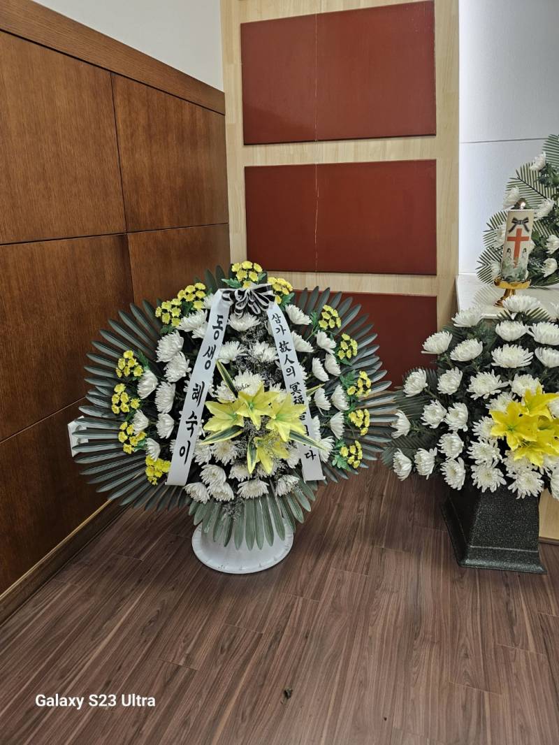 업로드 이미지