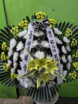 배송사진