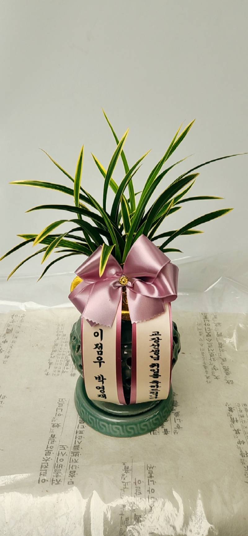 업로드 이미지