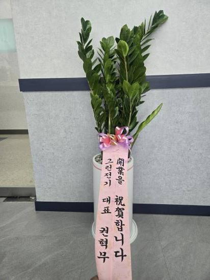 업로드 이미지
