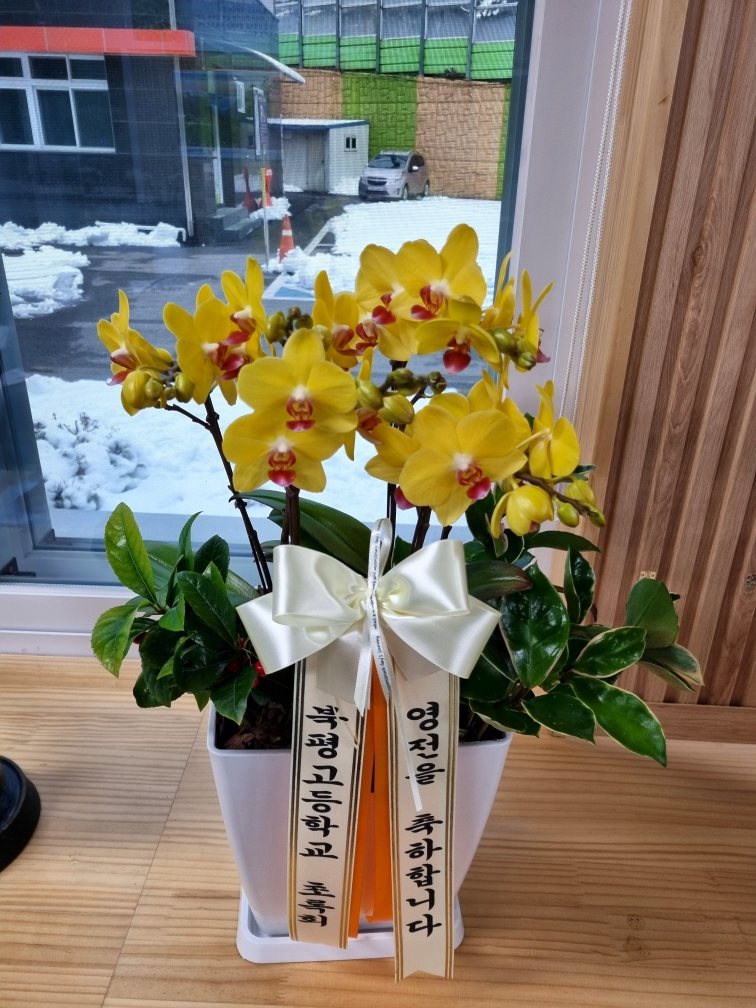 업로드 이미지