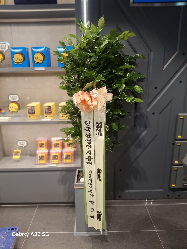 업로드 이미지