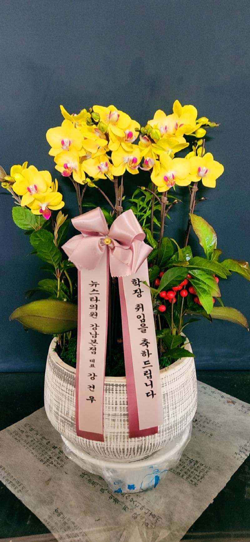업로드 이미지