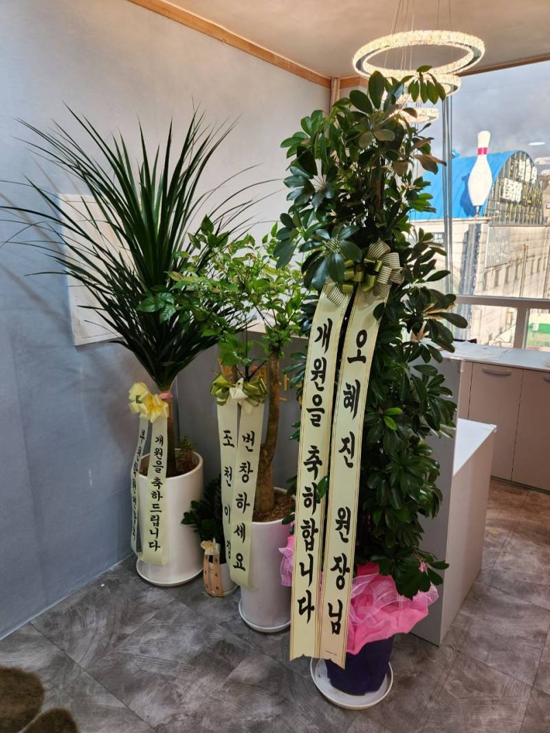 업로드 이미지