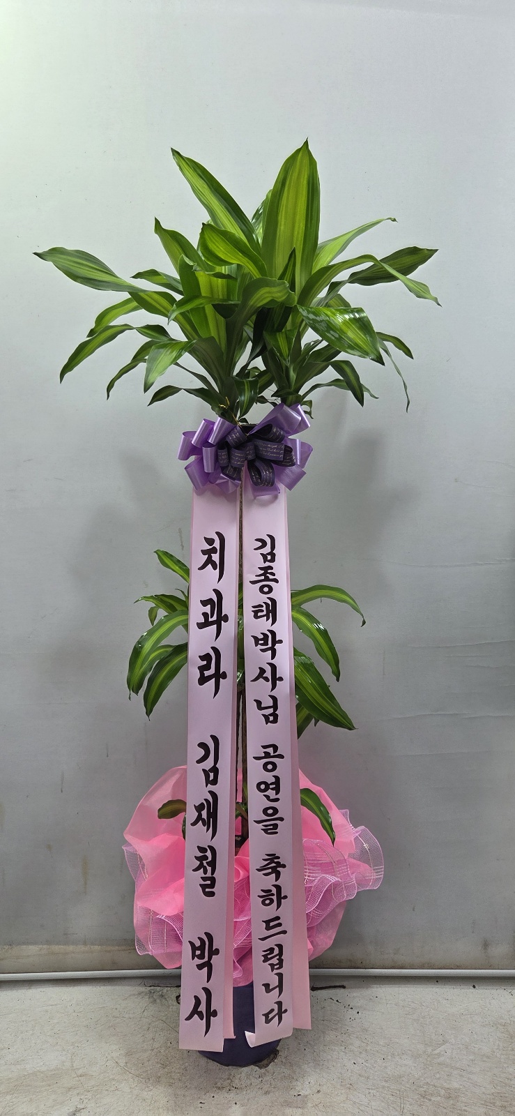 업로드 이미지