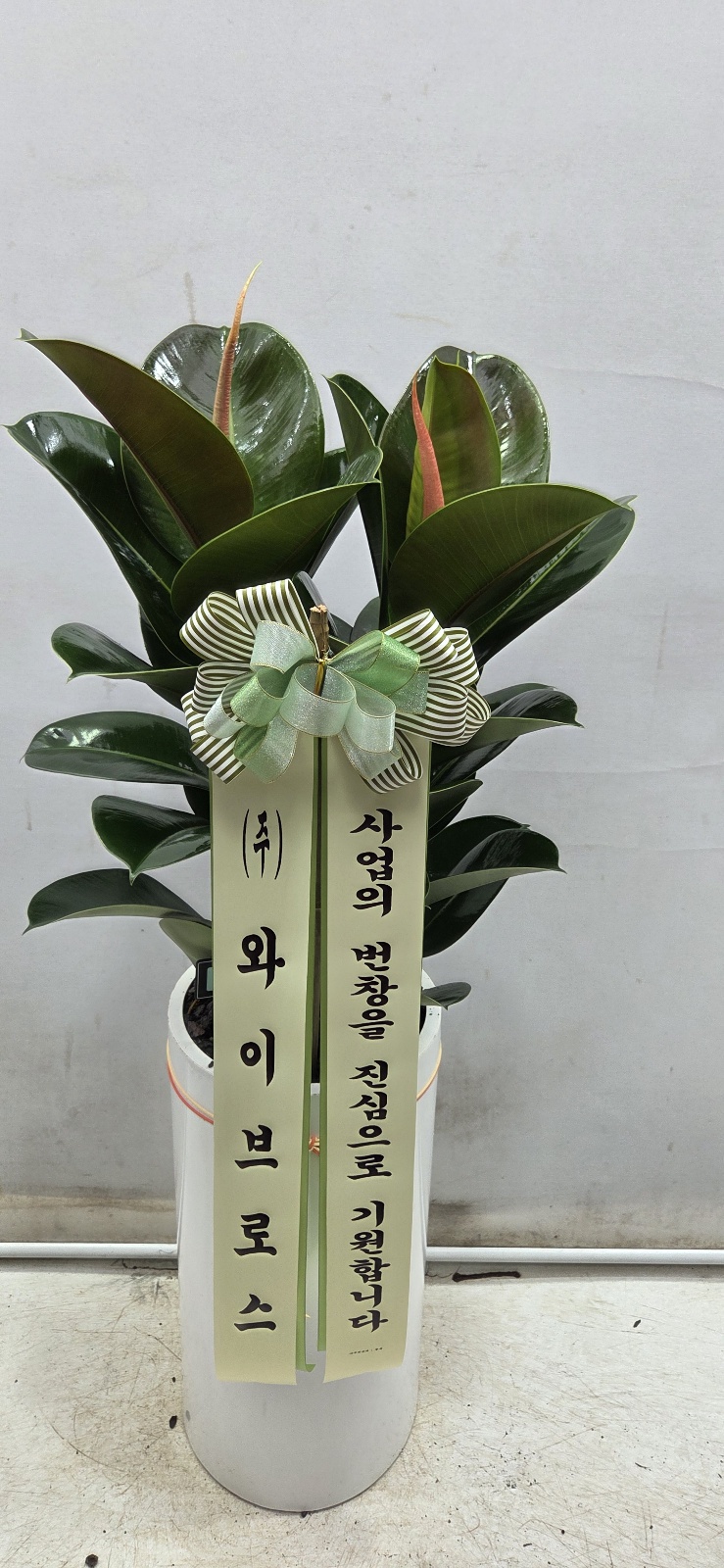 업로드 이미지