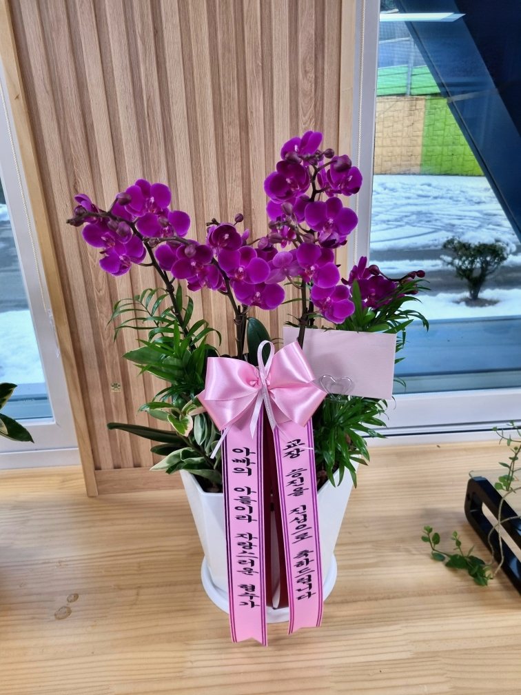 업로드 이미지