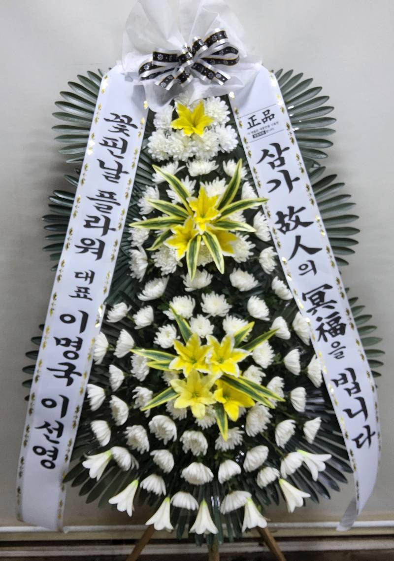 업로드 이미지