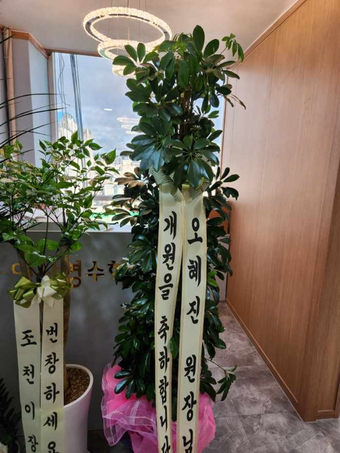 업로드 이미지