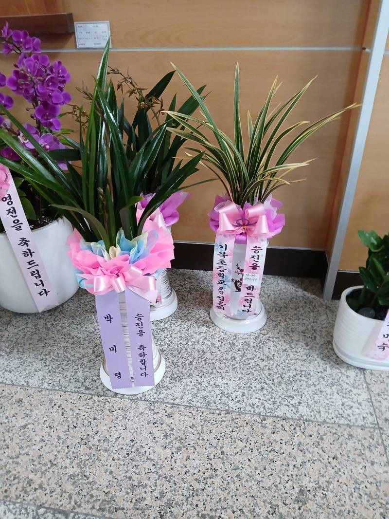 업로드 이미지