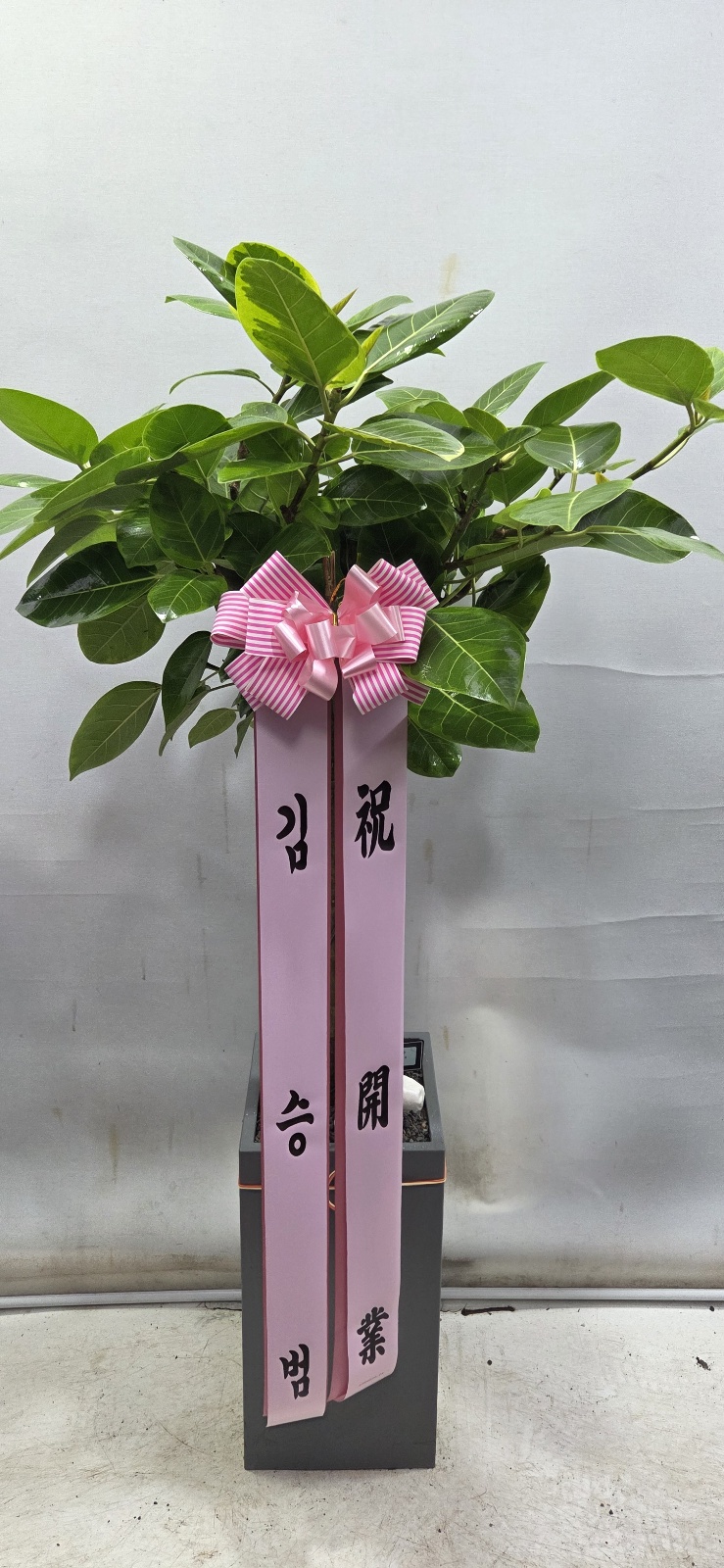 업로드 이미지