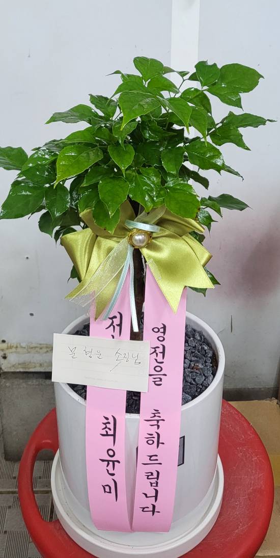 업로드 이미지