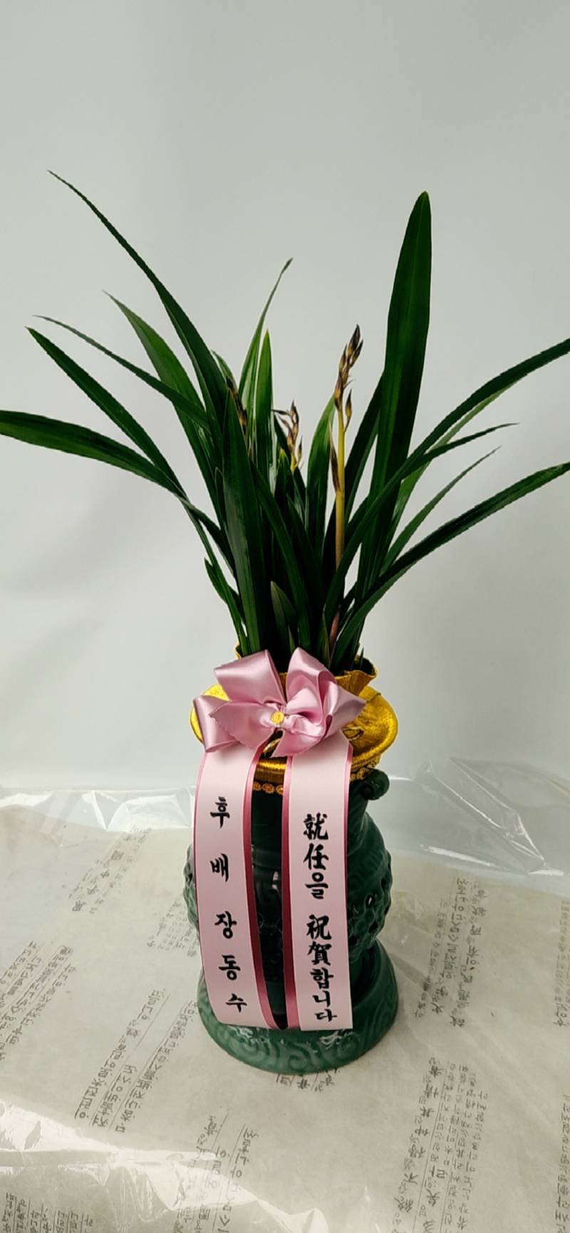 업로드 이미지