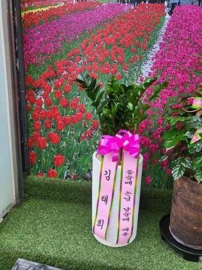 업로드 이미지