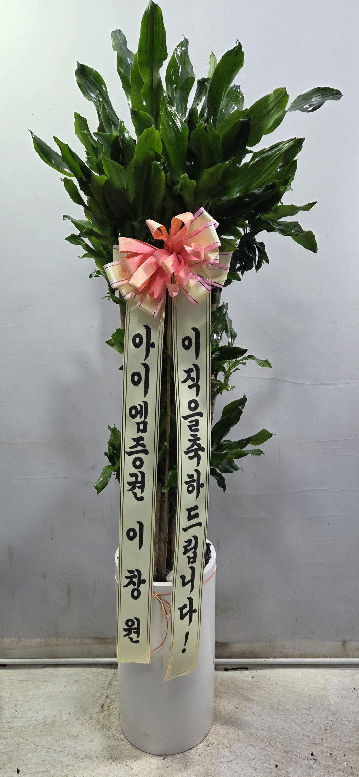 업로드 이미지