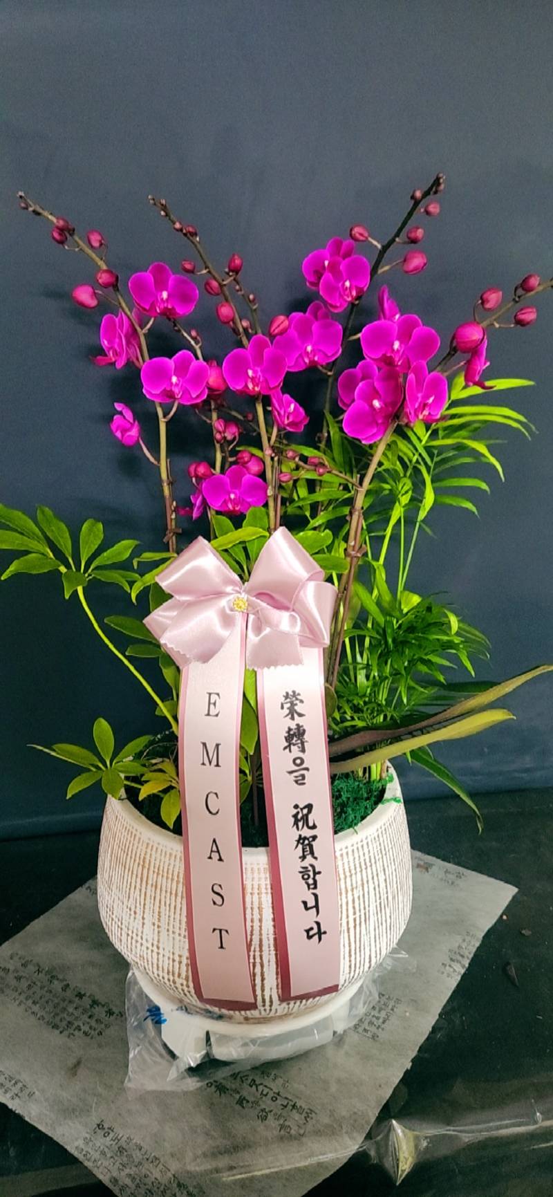 업로드 이미지