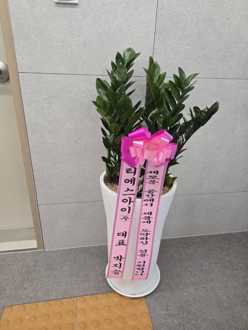 업로드 이미지