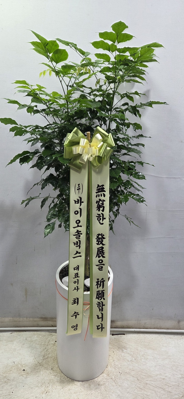 업로드 이미지