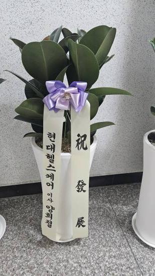 업로드 이미지