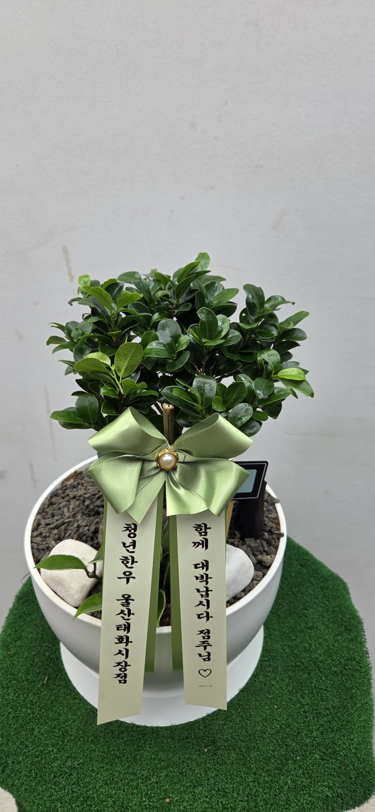 업로드 이미지