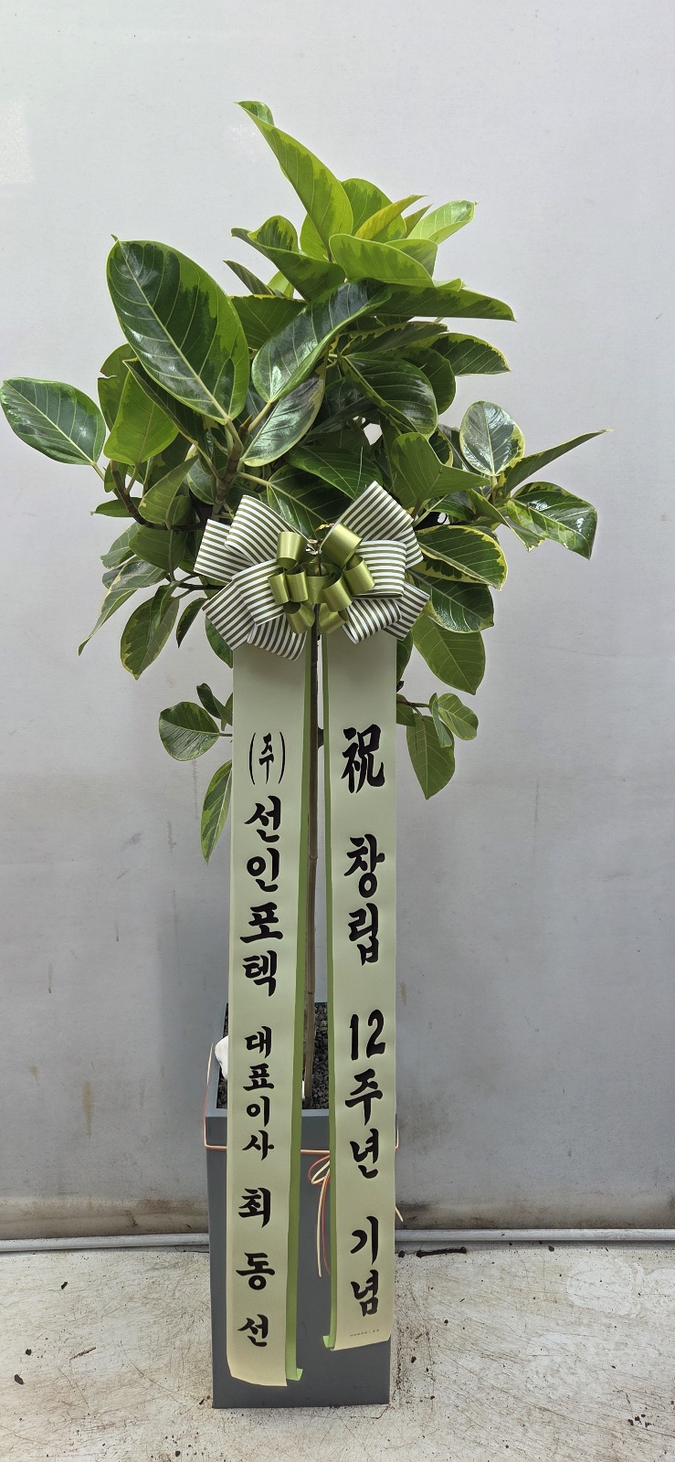 업로드 이미지