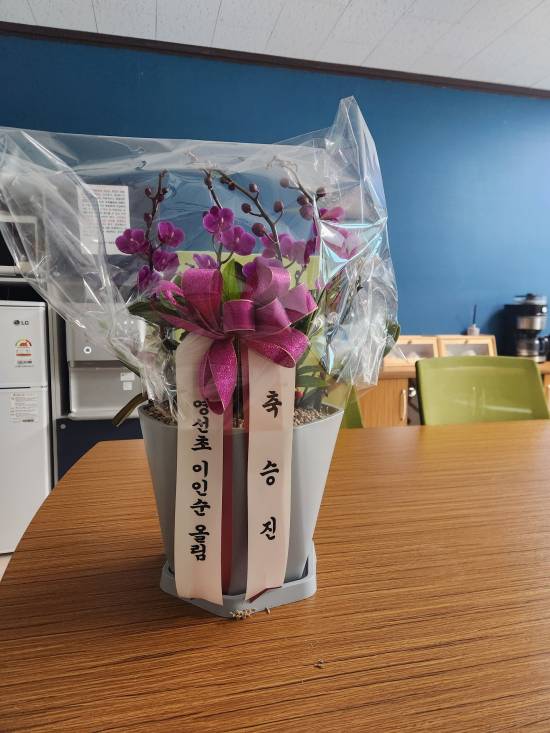 업로드 이미지