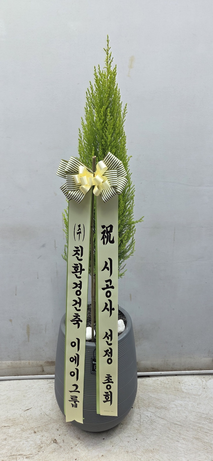 업로드 이미지