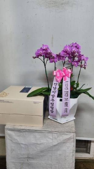 업로드 이미지