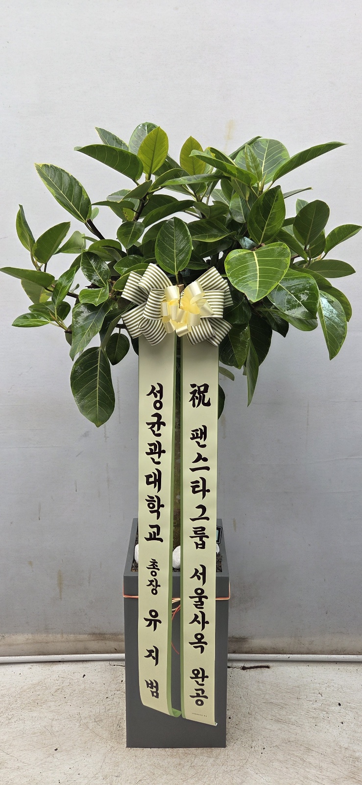 업로드 이미지