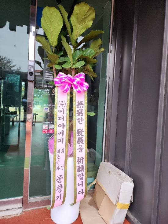 업로드 이미지