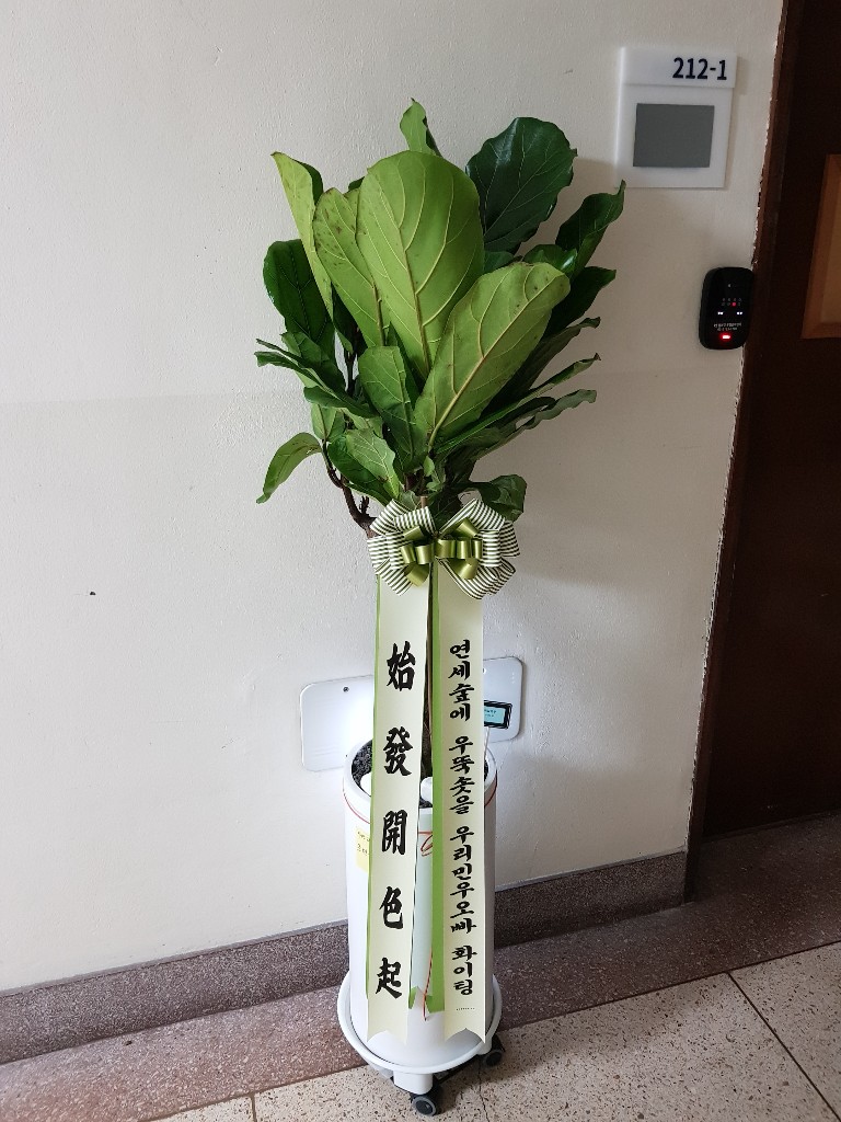 업로드 이미지