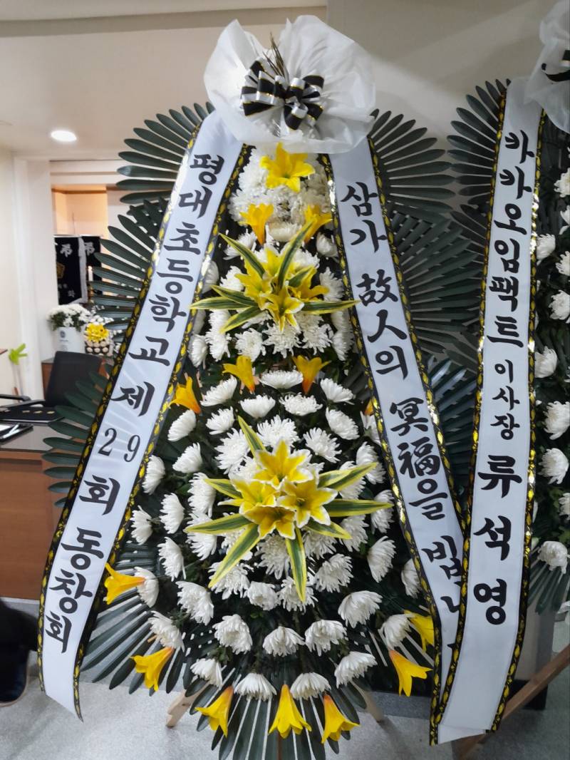 업로드 이미지