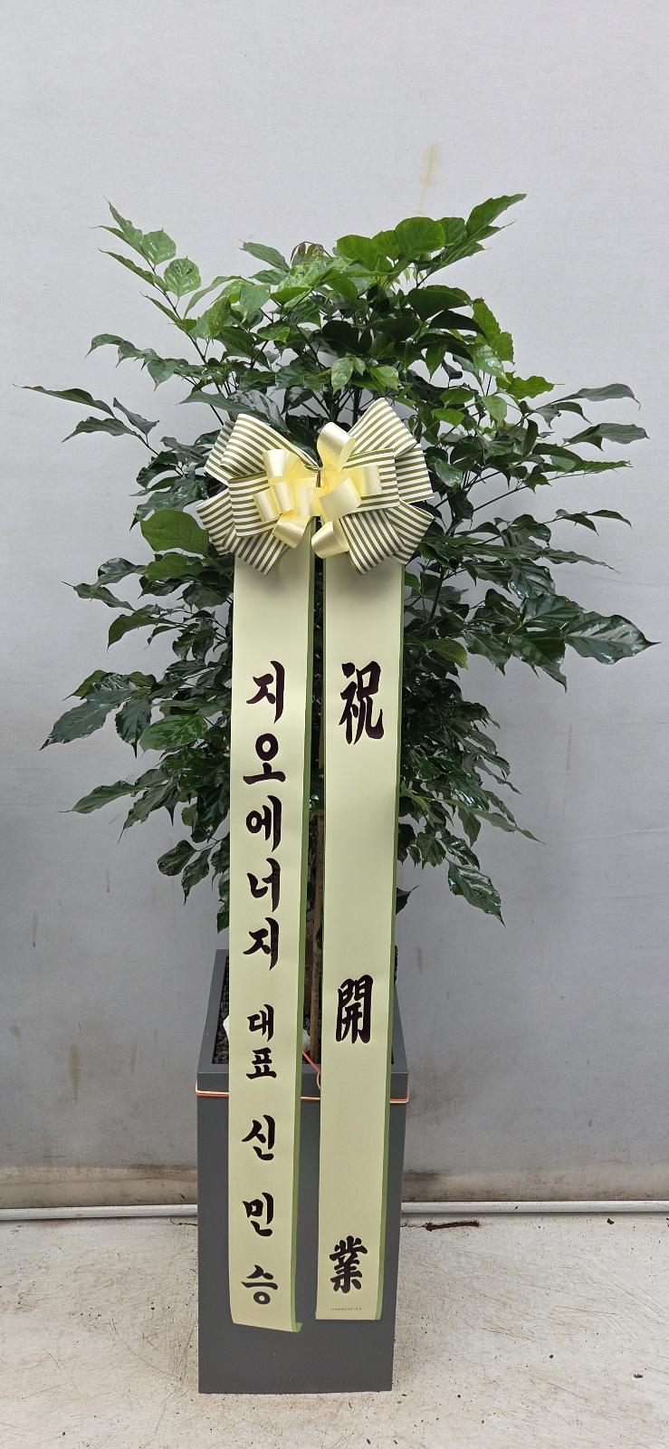 업로드 이미지