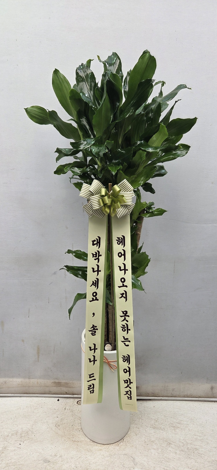 업로드 이미지