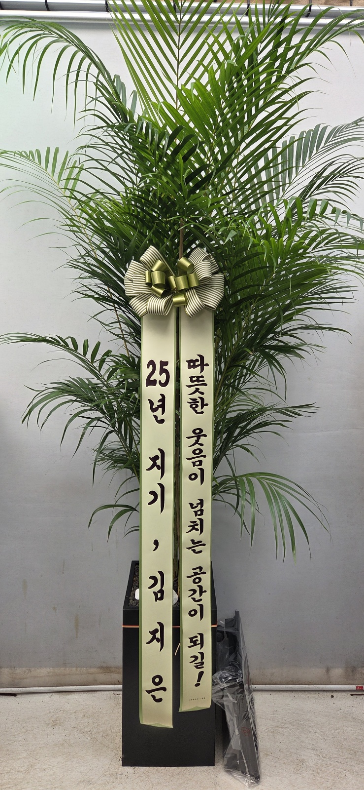 업로드 이미지