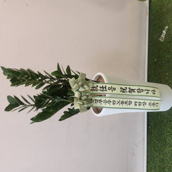 업로드 이미지