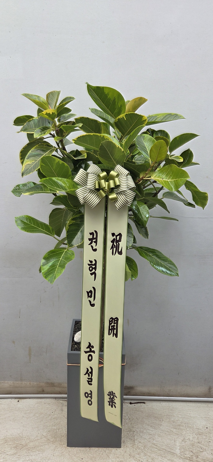 업로드 이미지