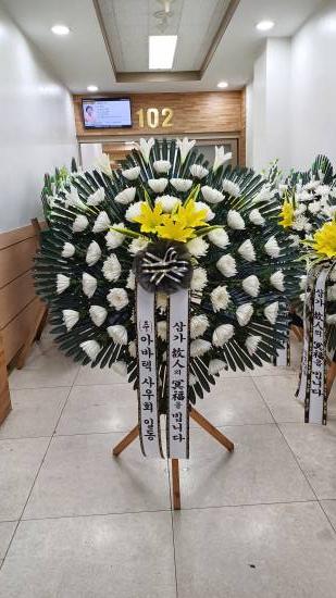 업로드 이미지