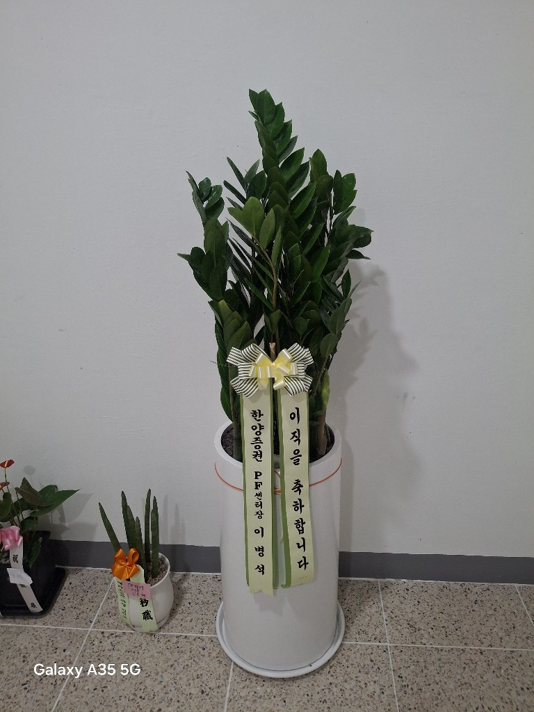 업로드 이미지