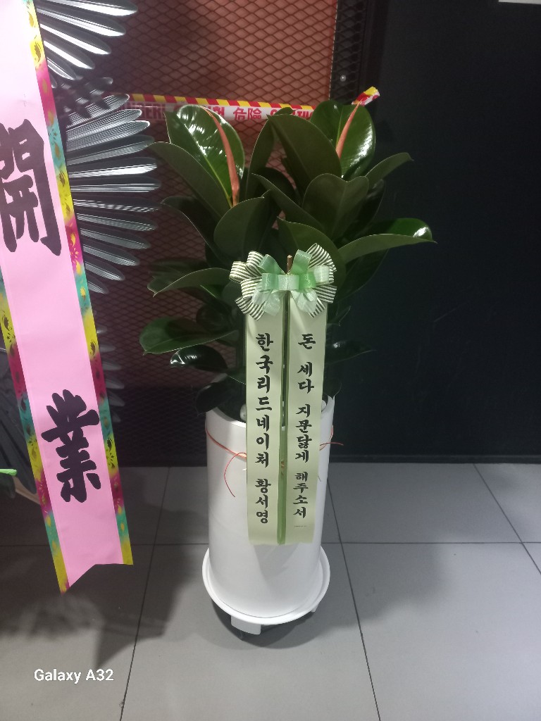 업로드 이미지