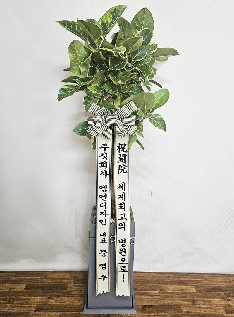 업로드 이미지