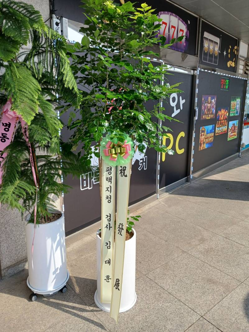 업로드 이미지
