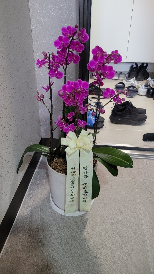 업로드 이미지