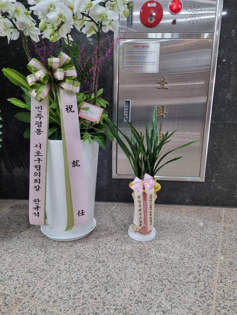 업로드 이미지