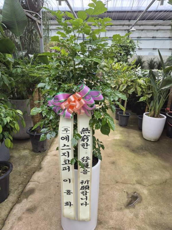 업로드 이미지