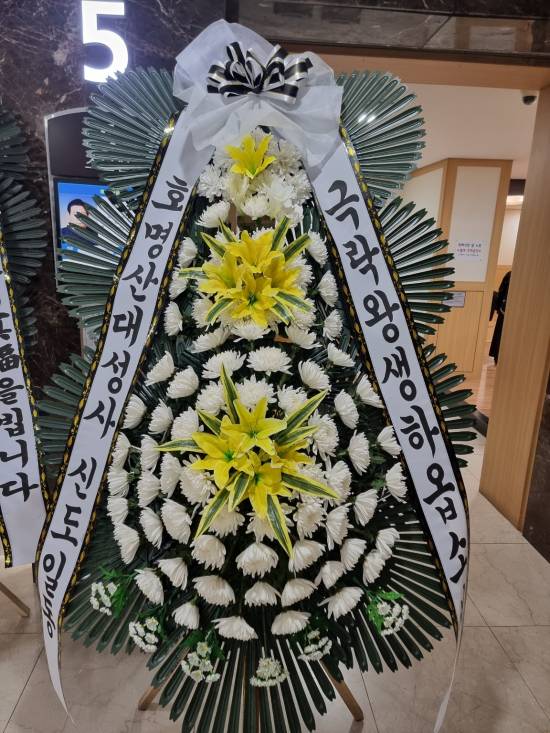 업로드 이미지