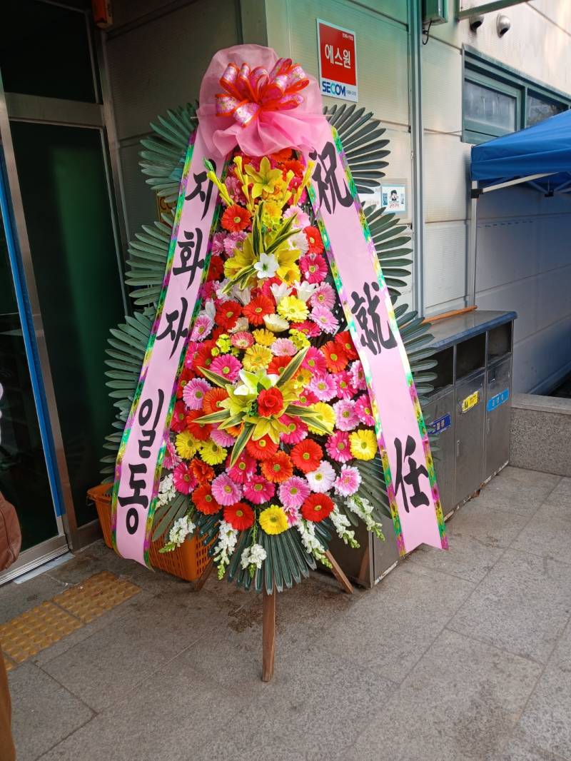 업로드 이미지