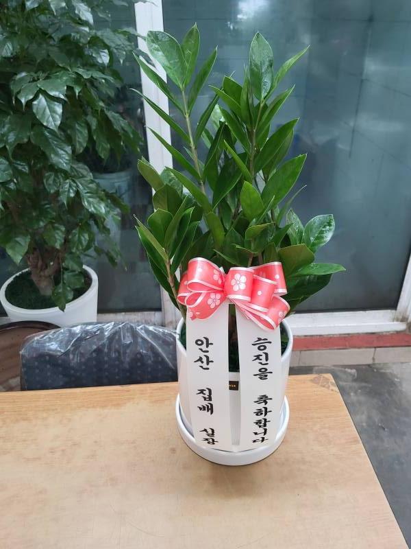 업로드 이미지
