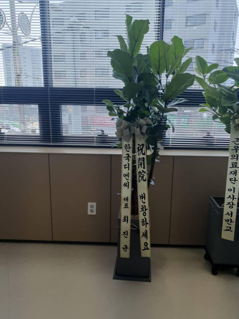 업로드 이미지